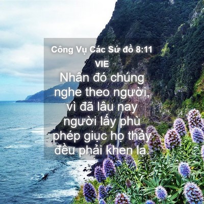 Picture 04 - Công Vụ Các Sứ đồ 8:11 VIE - Nhân đó chúng nghe theo người, vì đã - Bible Verse Picture