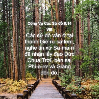 Picture 04 - Công Vụ Các Sứ đồ 8:14 VIE - Các sứ đồ vẫn ở tại thành - Bible Verse Picture