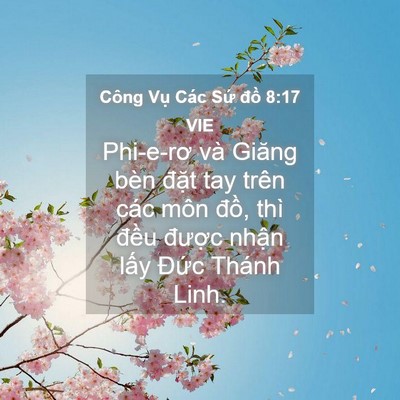 Picture 04 - Công Vụ Các Sứ đồ 8:17 VIE - Phi-e-rơ và Giăng bèn đặt tay trên các - Bible Verse Picture