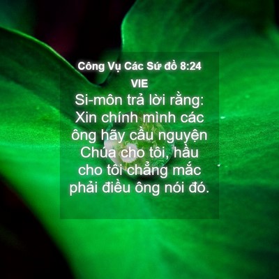 Picture 04 - Công Vụ Các Sứ đồ 8:24 VIE - Si-môn trả lời rằng: Xin chính mình các - Bible Verse Picture