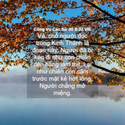 Picture 04 - Công Vụ Các Sứ đồ 8:32 VIE - Vả, chỗ người đọc trong Kinh Thánh là - Bible Verse Picture