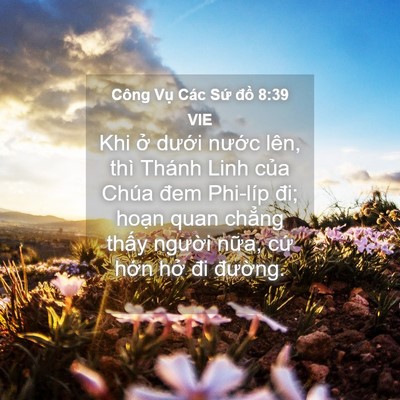 Picture 04 - Công Vụ Các Sứ đồ 8:39 VIE - Khi ở dưới nước lên, thì Thánh Linh - Bible Verse Picture