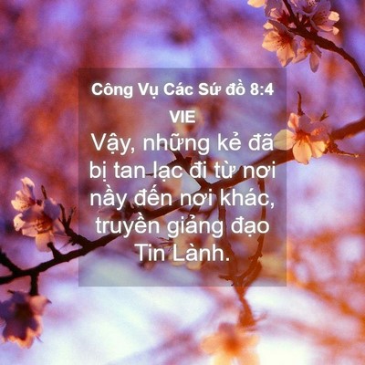 Picture 04 - Công Vụ Các Sứ đồ 8:4 VIE - Vậy, những kẻ đã bị tan lạc đi từ - Bible Verse Picture