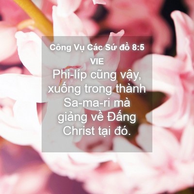 Picture 04 - Công Vụ Các Sứ đồ 8:5 VIE - Phi-líp cũng vậy, xuống trong thành - Bible Verse Picture