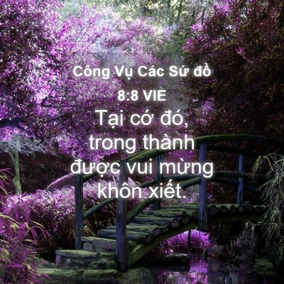 Picture 04 - Công Vụ Các Sứ đồ 8:8 VIE - Tại cớ đó, trong thành được vui mừng - Bible Verse Picture