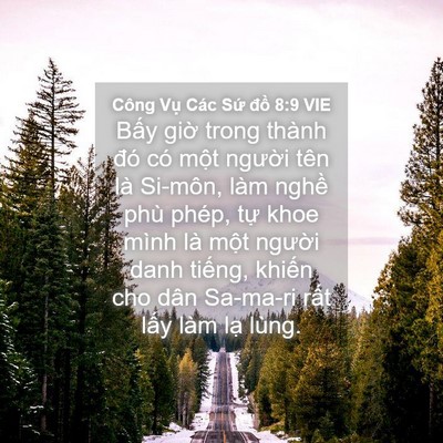 Picture 04 - Công Vụ Các Sứ đồ 8:9 VIE - Bấy giờ trong thành đó có một người - Bible Verse Picture