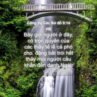 Picture 04 - Công Vụ Các Sứ đồ 9:14 VIE - Bây giờ người ở đây, có trọn quyền - Bible Verse Picture