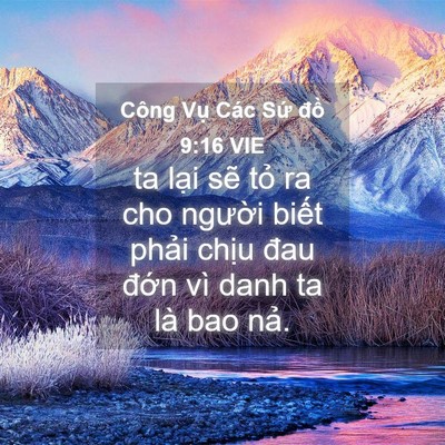 Picture 04 - Công Vụ Các Sứ đồ 9:16 VIE - ta lại sẽ tỏ ra cho người biết phải - Bible Verse Picture