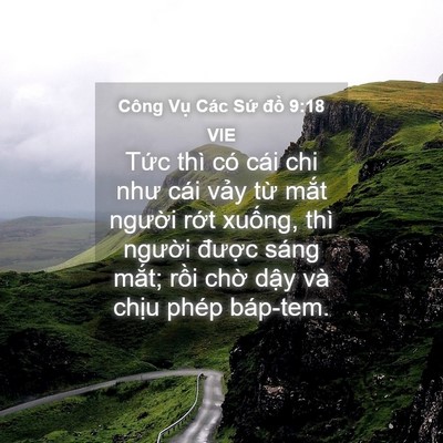 Picture 04 - Công Vụ Các Sứ đồ 9:18 VIE - Tức thì có cái chi như cái vảy từ - Bible Verse Picture