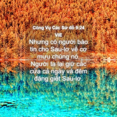 Picture 04 - Công Vụ Các Sứ đồ 9:24 VIE - Nhưng có người báo tin cho Sau-lơ về cơ - Bible Verse Picture