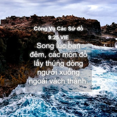 Picture 04 - Công Vụ Các Sứ đồ 9:25 VIE - Song lúc ban đêm, các môn đồ lấy thúng - Bible Verse Picture