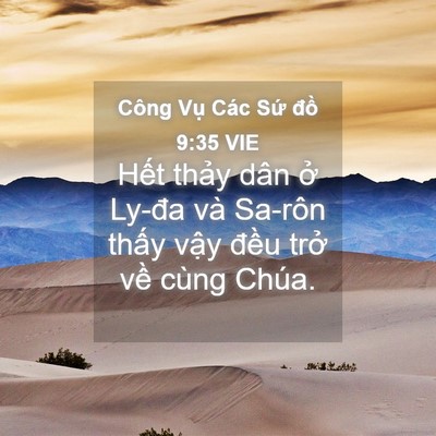 Picture 04 - Công Vụ Các Sứ đồ 9:35 VIE - Hết thảy dân ở Ly-đa và Sa-rôn thấy - Bible Verse Picture