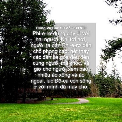 Picture 04 - Công Vụ Các Sứ đồ 9:39 VIE - Phi-e-rơ đứng dậy đi với hai người. - Bible Verse Picture