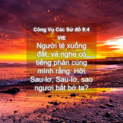 Picture 04 - Công Vụ Các Sứ đồ 9:4 VIE - Người té xuống đất, và nghe có tiếng - Bible Verse Picture