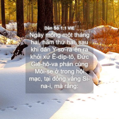 Picture 04 - Dân Số 1:1 VIE - Ngày mồng một tháng hai, năm thứ hai, - Bible Verse Picture