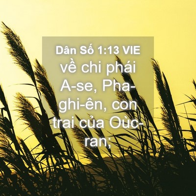 Picture 04 - Dân Số 1:13 VIE - về chi phái A-se, Pha-ghi-ên, con trai của - Bible Verse Picture