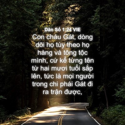 Picture 04 - Dân Số 1:24 VIE - Con cháu Gát, dòng dõi họ tùy theo họ - Bible Verse Picture