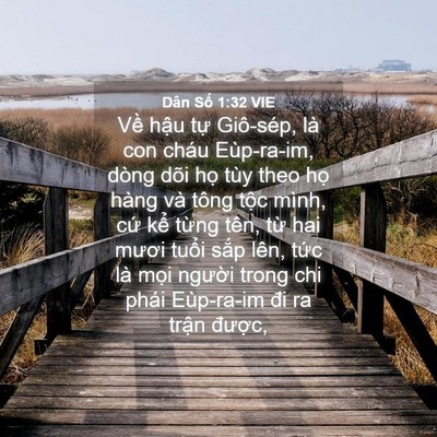 Picture 04 - Dân Số 1:32 VIE - Về hậu tự Giô-sép, là con cháu - Bible Verse Picture