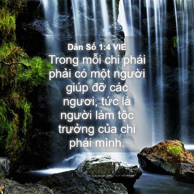 Picture 04 - Dân Số 1:4 VIE - Trong mỗi chi phái phải có một người - Bible Verse Picture