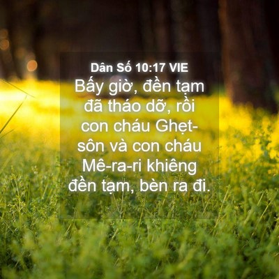 Picture 04 - Dân Số 10:17 VIE - Bấy giờ, đền tạm đã tháo dỡ, rồi - Bible Verse Picture