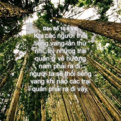 Picture 04 - Dân Số 10:6 VIE - Khi các ngươi thổi tiếng vang lần thứ - Bible Verse Picture