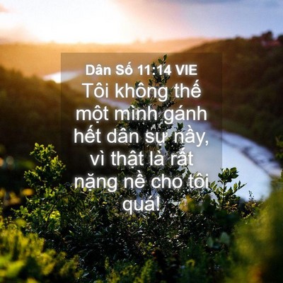 Picture 04 - Dân Số 11:14 VIE - Tôi không thế một mình gánh hết dân - Bible Verse Picture