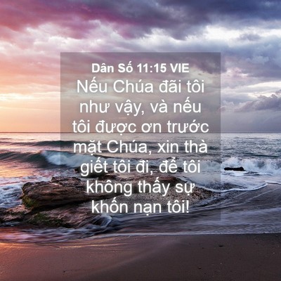 Picture 04 - Dân Số 11:15 VIE - Nếu Chúa đãi tôi như vậy, và nếu tôi - Bible Verse Picture