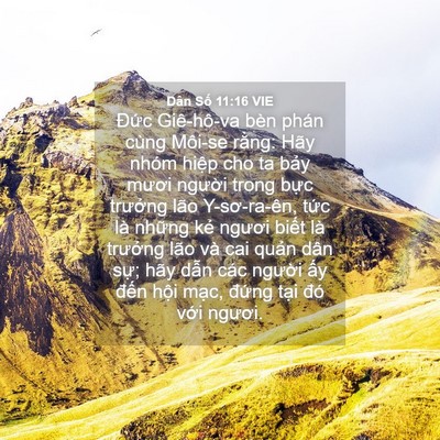 Picture 04 - Dân Số 11:16 VIE - Đức Giê-hô-va bèn phán cùng Môi-se - Bible Verse Picture
