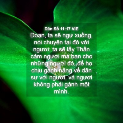 Picture 04 - Dân Số 11:17 VIE - Đoạn, ta sẽ ngự xuống, nói chuyện - Bible Verse Picture