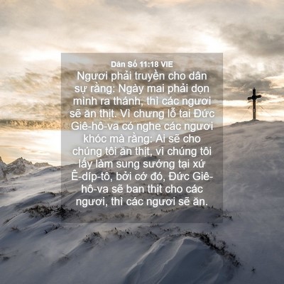 Picture 04 - Dân Số 11:18 VIE - Ngươi phải truyền cho dân sự rằng: - Bible Verse Picture