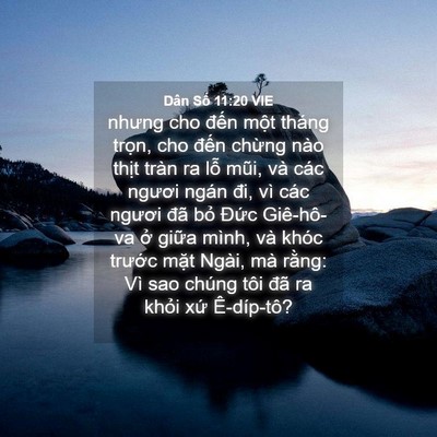 Picture 04 - Dân Số 11:20 VIE - nhưng cho đến một tháng trọn, cho đến - Bible Verse Picture