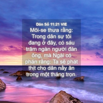 Picture 04 - Dân Số 11:21 VIE - Môi-se thưa rằng: Trong dân sự tôi đang - Bible Verse Picture