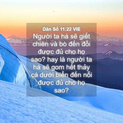 Picture 04 - Dân Số 11:22 VIE - Người ta há sẽ giết chiên và bò đến - Bible Verse Picture
