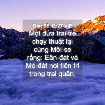 Picture 04 - Dân Số 11:27 VIE - Một đứa trai trẻ chạy thuật lại - Bible Verse Picture