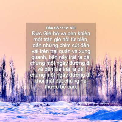 Picture 04 - Dân Số 11:31 VIE - Đức Giê-hô-va bèn khiến một trận gió - Bible Verse Picture