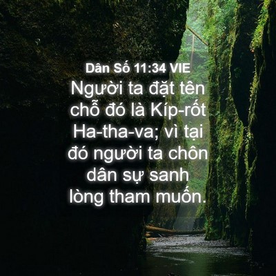 Picture 04 - Dân Số 11:34 VIE - Người ta đặt tên chỗ đó là Kíp-rốt - Bible Verse Picture