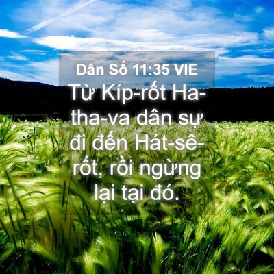 Picture 04 - Dân Số 11:35 VIE - Từ Kíp-rốt Ha-tha-va dân sự đi đến - Bible Verse Picture