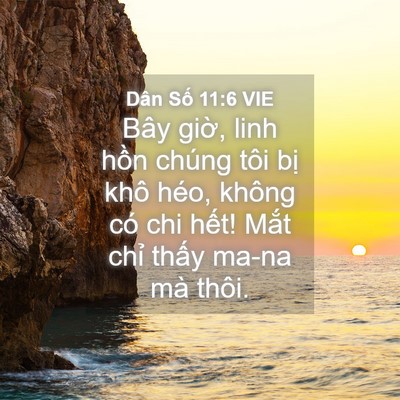 Picture 04 - Dân Số 11:6 VIE - Bây giờ, linh hồn chúng tôi bị khô - Bible Verse Picture