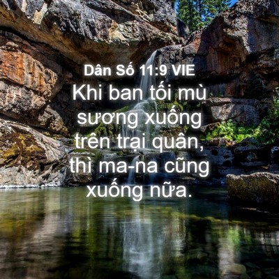 Picture 04 - Dân Số 11:9 VIE - Khi ban tối mù sương xuống trên trại - Bible Verse Picture