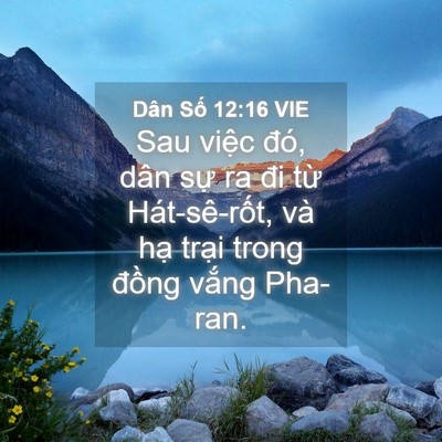 Picture 04 - Dân Số 12:16 VIE - Sau việc đó, dân sự ra đi từ - Bible Verse Picture