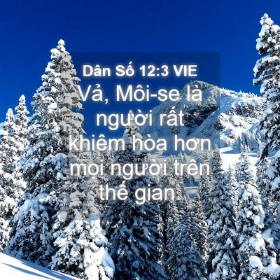 Picture 04 - Dân Số 12:3 VIE - Vả, Môi-se là người rất khiêm hòa hơn - Bible Verse Picture