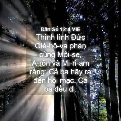 Picture 04 - Dân Số 12:4 VIE - Thình lình Đức Giê-hô-va phán cùng - Bible Verse Picture