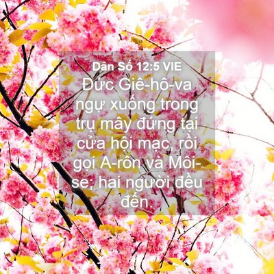 Picture 04 - Dân Số 12:5 VIE - Đức Giê-hô-va ngự xuống trong trụ mây - Bible Verse Picture