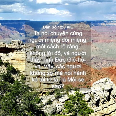 Picture 04 - Dân Số 12:8 VIE - Ta nói chuyện cùng người miệng đối - Bible Verse Picture