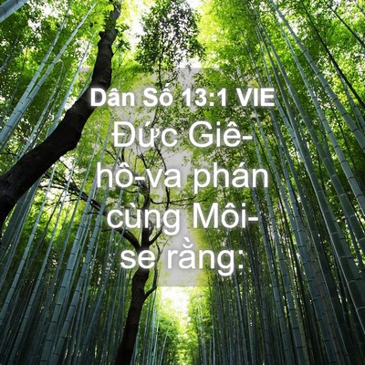 Picture 04 - Dân Số 13:1 VIE - Đức Giê-hô-va phán cùng Môi-se - Bible Verse Picture