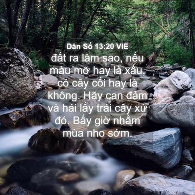 Picture 04 - Dân Số 13:20 VIE - đất ra làm sao, nếu màu mỡ hay là - Bible Verse Picture