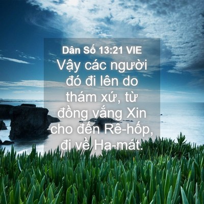 Picture 04 - Dân Số 13:21 VIE - Vậy các người đó đi lên do thám xứ, - Bible Verse Picture
