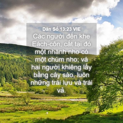 Picture 04 - Dân Số 13:23 VIE - Các người đến khe Eách-côn, cắt tại - Bible Verse Picture