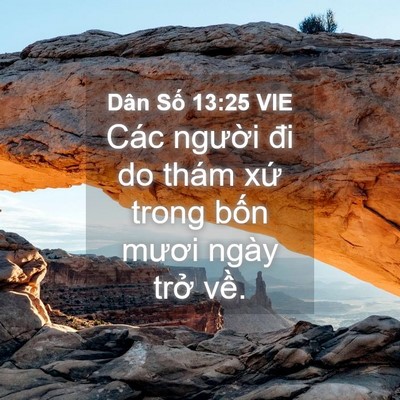 Picture 04 - Dân Số 13:25 VIE - Các người đi do thám xứ trong bốn - Bible Verse Picture