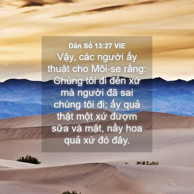 Picture 04 - Dân Số 13:27 VIE - Vậy, các người ấy thuật cho Môi-se - Bible Verse Picture